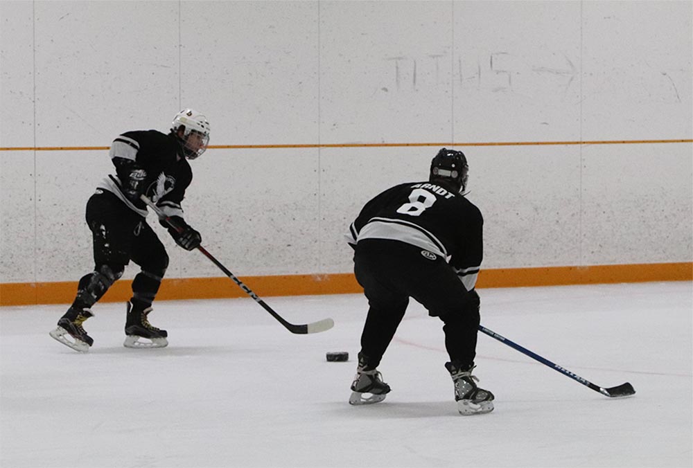 Nick Bullick passes to Wayne St. Denis during a Toronto Ice Owls hockey game.