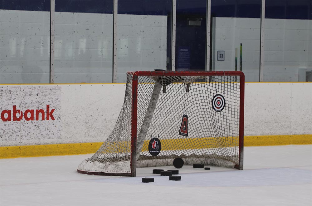 A hockey net is pictured with shooting targets hanging on the inside of it. The net is filled with larger pucks used in blind hockey.