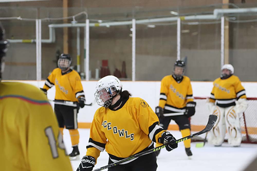 Blind hockey player Emily McLean is pictured holding her stick during a Toronto Ice Owls game.