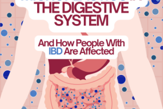 An outline of a body, with only the organs visible. There are blue dots all around the intestines and the background. Text reads "Microplastics in the Digestive System and How People with IBD Are Affected"